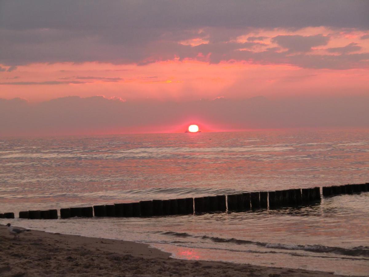 Landhotel Ostseetraum & Fewo Rostock Dış mekan fotoğraf