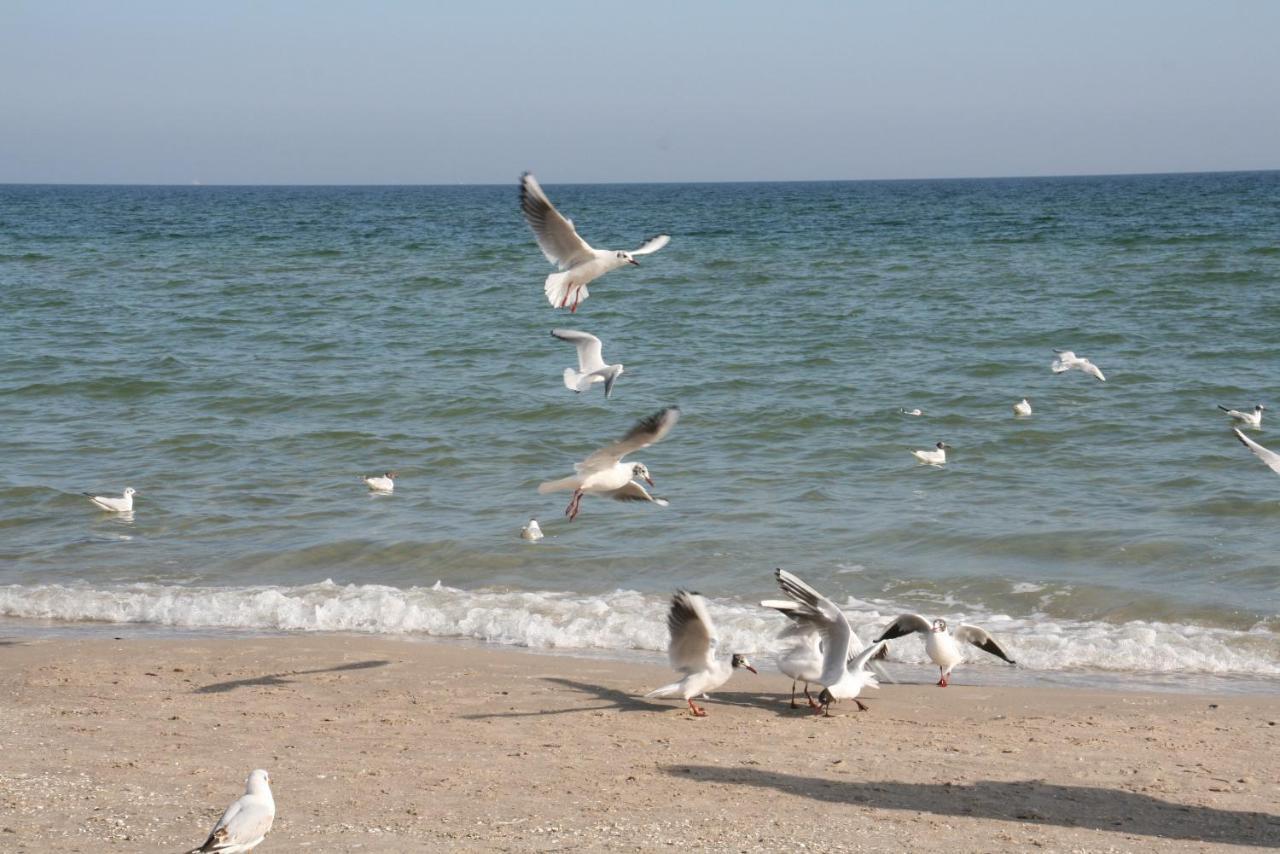 Landhotel Ostseetraum & Fewo Rostock Dış mekan fotoğraf